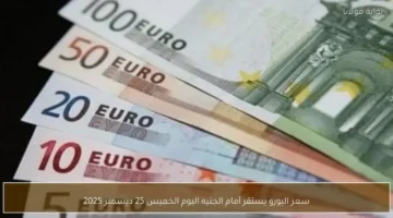 ثبات سعر الصرف.. تحديث جديد لليورو مقابل الجنيه في تعاملات الخميس 25 ديسمبر
